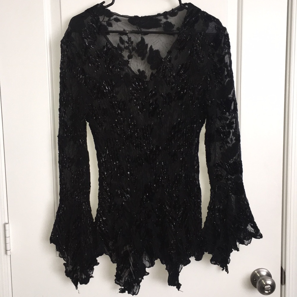 Size L Black Delicate Shiny/See Through and Velvet